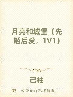 月亮和城堡（先婚后愛，1V1）