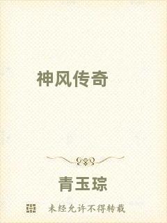 神風(fēng)傳奇