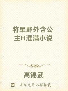 將軍野外含公主H灌滿小說