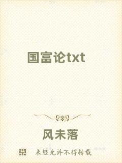 國(guó)富論txt