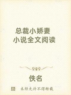 總裁小嬌妻小說全文閱讀