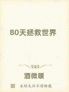 80天拯救世界
