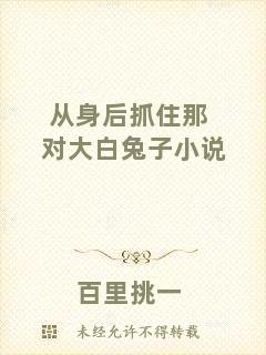 從身后抓住那對(duì)大白兔子小說(shuō)