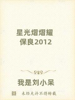 星光熠熠耀保良2012