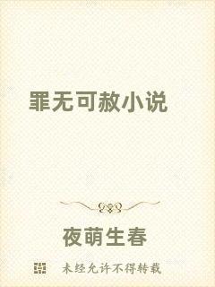 罪無(wú)可赦小說(shuō)