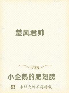 楚風君帥