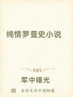 純情羅曼史小說(shuō)