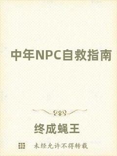 中年NPC自救指南
