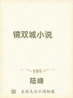 鏡雙城小說