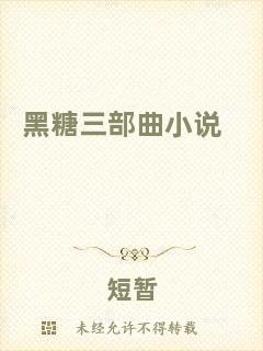 黑糖三部曲小說(shuō)